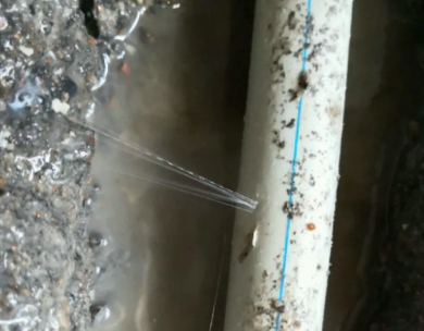 巴音郭楞测漏水哪家好