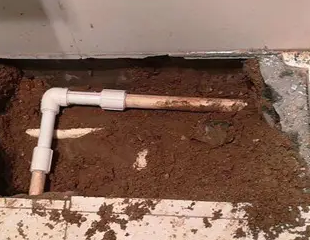 巴音郭楞测漏水哪家好