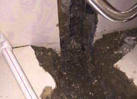 巴音郭楞卫生间测漏水哪家好