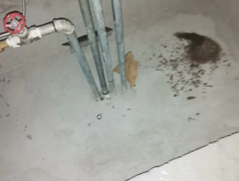 巴音郭楞卫生间测漏水价格明细